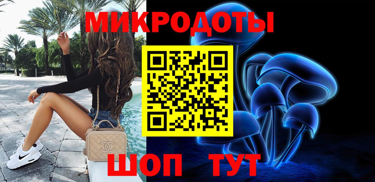 Псилоцибиновые грибы Psilocybe Новоалександровск