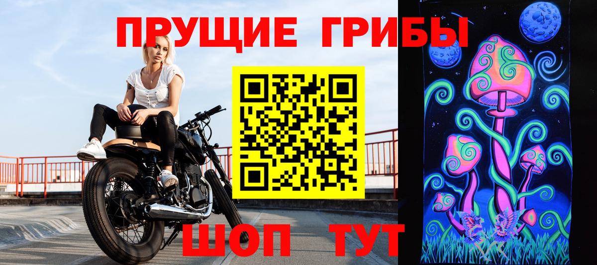 Новоалександровск  Псилоцибиновые грибы Psilocybe  Вход с VPN  Галлюциногенные грибы MAGIC MUSHROOMS 